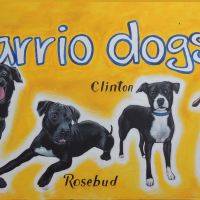 Barrio Dogs Celebrates 5 Years of Work in Houston’s East End