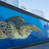 NPR: Massive Mural Of Underwater Sea Life Pops Up In The East End