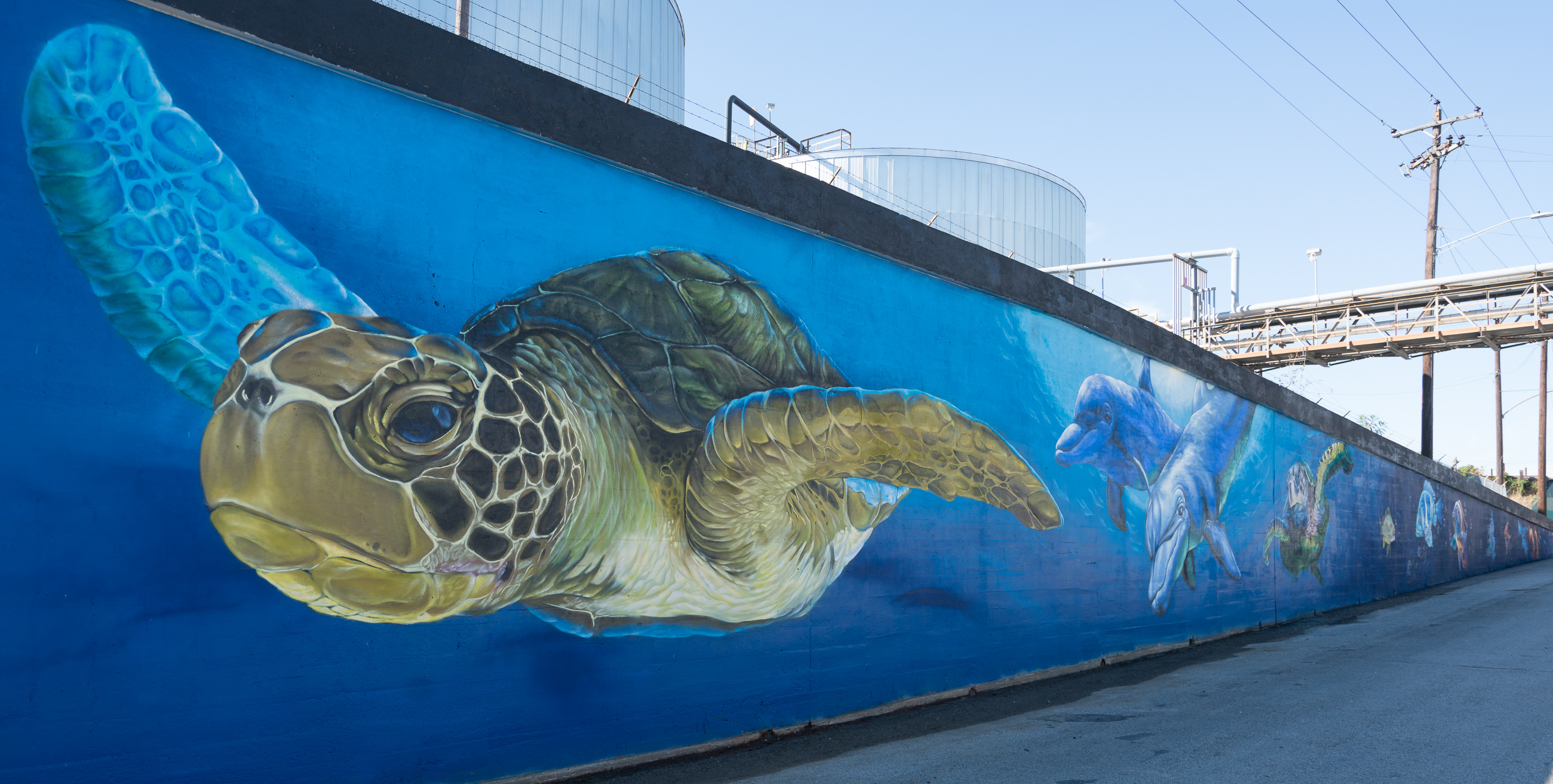 NPR: Massive Mural Of Underwater Sea Life Pops Up In The East End