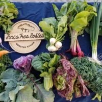 Small Places Transitions to a 501(c)(3) as its East End Urban Farm, Finca Tres Robles, Pauses Field Operations to Prepare for Move to Long-Sought Permanent Home